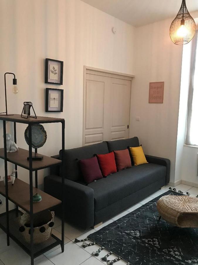 Appartement Bord De Tarn à Albi Extérieur photo